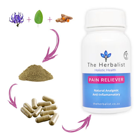 Herbal pain relief process – The Herbalist’s blend of turmeric, devil’s claw, and kratom for inflammation and pain management in capsules