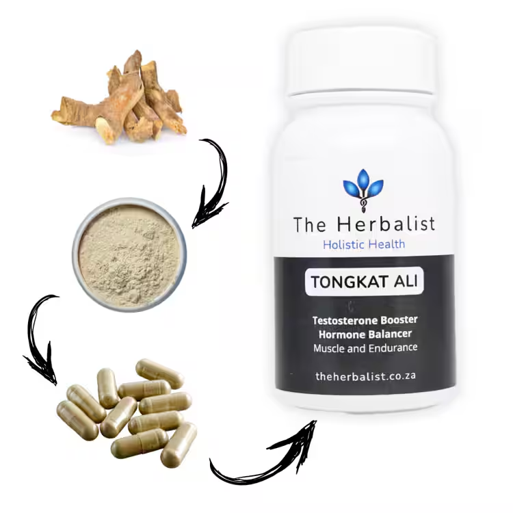 Tongkat Ali root to capsule – The Herbalist’s natural testosterone and endurance supplement made from pure herbal extract