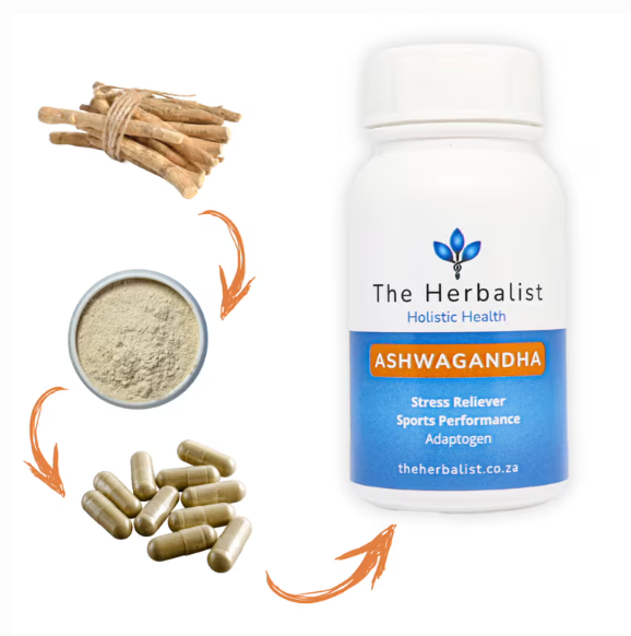 Ashwagandha herbal supplement transformation – dried root to powder to capsules with The Herbalist Ashwagandha, stress and recovery support, natural South African adaptogen supplement