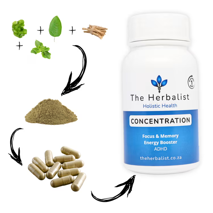 The Herbalist Concentration capsules with bacopa, peppermint, gotu kola, and ashwagandha – natural brain booster powder transforming into capsules for focus, energy, and ADHD support