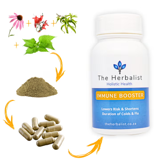The Herbalist Immune Booster – echinacea, ginseng, olive leaf, and nettle transformed into powder and capsules for natural immune defense and flu prevention
