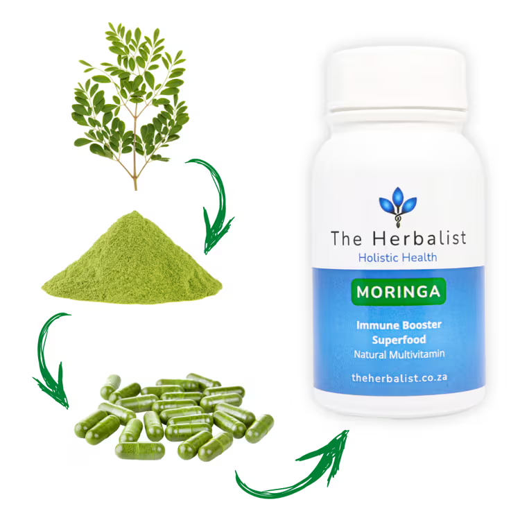 The Herbalist Moringa – from leaf to capsule, a plant-based superfood with powerful nutrients for energy, immunity, and vitality
