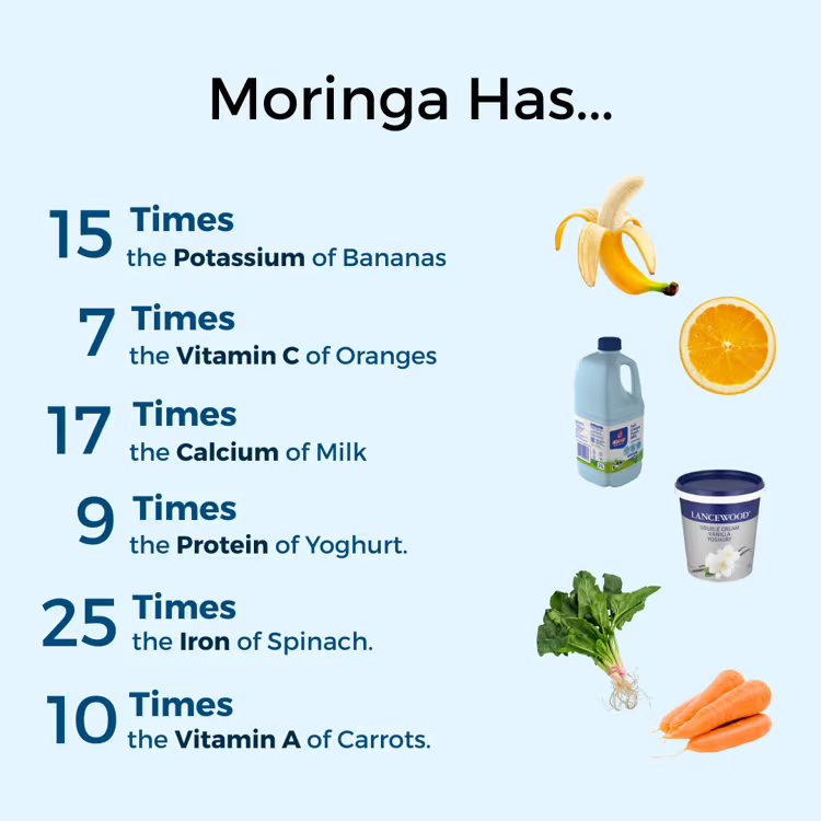 Nutrient power of Moringa – more potassium, iron, calcium, and vitamins than common foods like bananas, spinach, and milk
