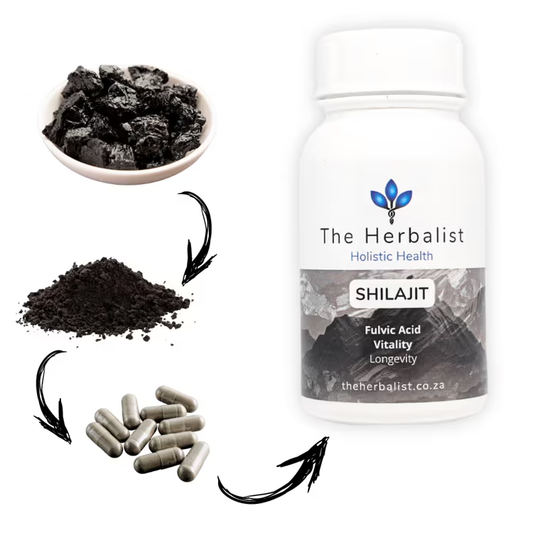 Shilajit resin to capsule – The Herbalist’s high-potency fulvic acid supplement for stamina, energy, and performance