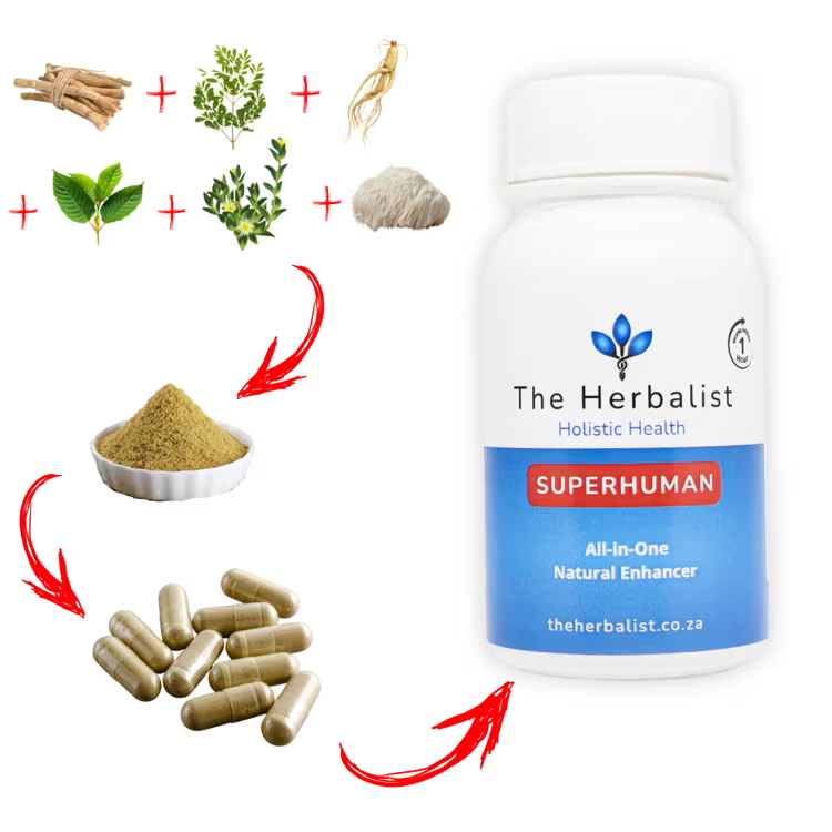Superhuman herbal supplement by The Herbalist – made from ginseng, ashwagandha, moringa, and other adaptogens to boost energy and performance